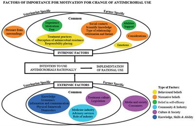 Veterinary Herd Health Consultancy and Antimicrobial Use in Dairy Herds